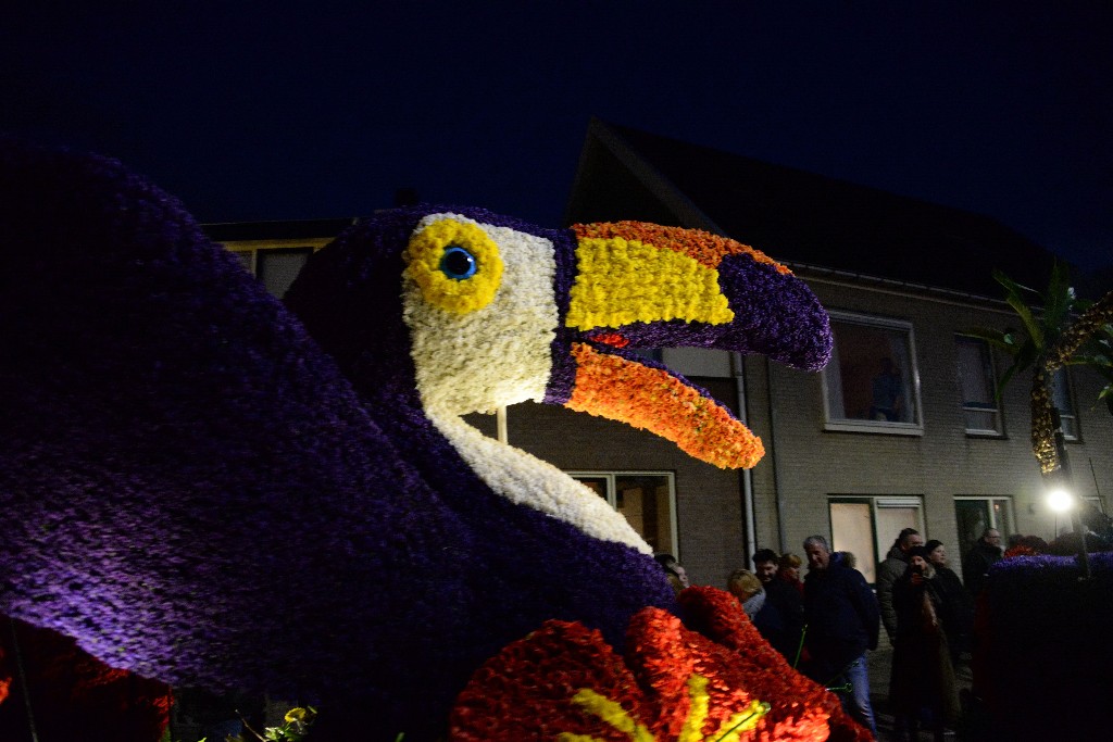 ../Images/Verlicht corso Noordwijkerhout 2019 008.jpg